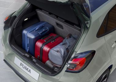puma-613x362-3.jpg