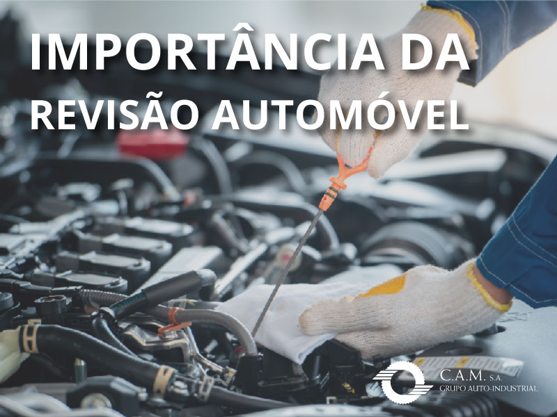 Conheça a importância da revisão do seu automóvel